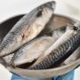 titus (mackerel) fish on a scale
